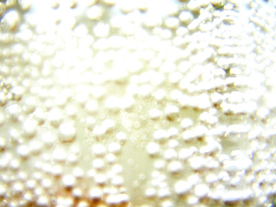 20070327-a.jpg